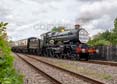 Photograph of PENDENNIS CASTLE - 4079 PENDENNIS CASTLE at Didcot on 29/05/25