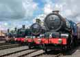 Photograph of 0-4-2T - 1466 0-4-2T,  5322 2-6-0 Tender Locomotive,  6023 KING EDWARD II,  1450 0-4-2T &  9466 0-6-0PT at Didcot on 30/04/16