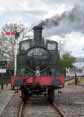 Photograph of 0-4-2T - 1450 0-4-2T at Didcot on 30/04/16