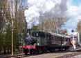 Photograph of 0-4-2T - 1450 0-4-2T at Didcot on 30/04/16