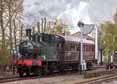 Photograph of 0-4-2T - 1450 0-4-2T at Didcot on 30/04/16