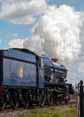Photograph of KING EDWARD II - 6023 KING EDWARD II at Didcot on 30/04/16