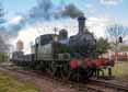 Photograph of 0-4-2T - 1450 0-4-2T at Didcot on 30/04/16