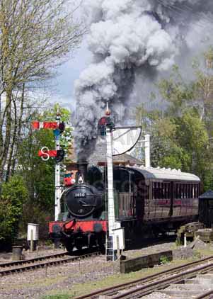 Purchase photo of 1450 0-4-2T at Didcot