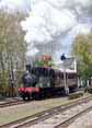 Photograph of 0-4-2T - 1450 0-4-2T at Didcot on 30/04/16