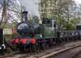 Photograph of 0-4-2T - 1450 0-4-2T at Didcot on 30/04/16