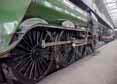 Photograph of FLYING SCOTSMAN - 60103 FLYING SCOTSMAN at Didcot on 30/08/17