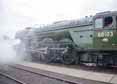 Photograph of FLYING SCOTSMAN - 60103 FLYING SCOTSMAN at Didcot on 30/08/17
