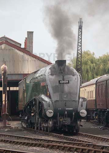 See large image