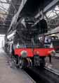 Photograph of FLYING SCOTSMAN - 60103 FLYING SCOTSMAN at Didcot on 30/08/17