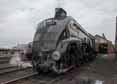 Photograph of UNION OF SOUTH AFRICA - 60009 UNION OF SOUTH AFRICA at Didcot on 30/08/17