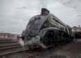 Photograph of UNION OF SOUTH AFRICA - 60009 UNION OF SOUTH AFRICA at Didcot on 30/08/17