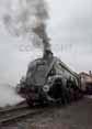 Photograph of UNION OF SOUTH AFRICA - 60009 UNION OF SOUTH AFRICA at Didcot on 30/08/17