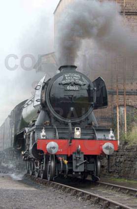 Purchase posters of 60103 FLYING SCOTSMAN