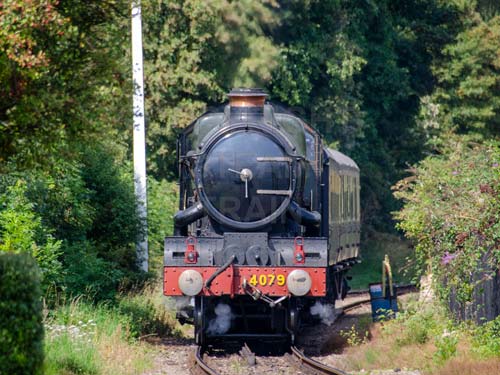 See large image