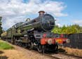 Photograph of PENDENNIS CASTLE - 4079 PENDENNIS CASTLE at Didcot on 30/08/23