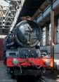 Photograph of Steam Images - Sunlight In The Shed at Didcot on 30/08/23