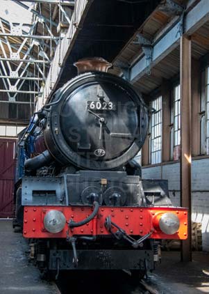 Purchase photo of Sunlight In The Shed at Didcot
