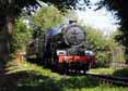 Photograph of KING EDWARD II - 6023 KING EDWARD II at Didcot on 30/07/14