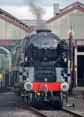 Photograph of CLAN LINE - 35028 CLAN LINE at Didcot on 30/06/17