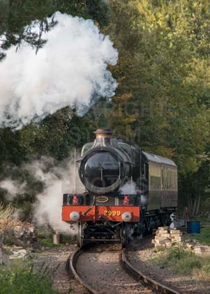 Purchase photo of 2999 LADY OF LEGEND at Didcot