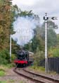 Photograph of PITCHFORD HALL - 4953 PITCHFORD HALL at Didcot on 30/09/23