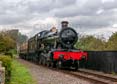 Photograph of PITCHFORD HALL - 4953 PITCHFORD HALL at Didcot on 30/09/23