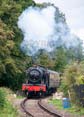 Photograph of PITCHFORD HALL - 4953 PITCHFORD HALL at Didcot on 30/09/23