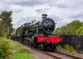 Photograph of PITCHFORD HALL - 4953 PITCHFORD HALL at Didcot on 30/09/23