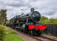 Photograph of PITCHFORD HALL - 4953 PITCHFORD HALL at Didcot on 30/09/23