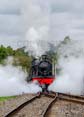 Photograph of PITCHFORD HALL - 4953 PITCHFORD HALL at Didcot on 30/09/23