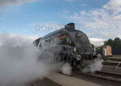 Purchase photo of 60009 UNION OF SOUTH AFRICA at Didcot