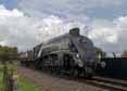 Photograph of UNION OF SOUTH AFRICA - 60009 UNION OF SOUTH AFRICA at Didcot on 31/08/17
