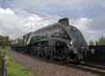 Photograph of UNION OF SOUTH AFRICA - 60009 UNION OF SOUTH AFRICA at Didcot on 31/08/17