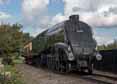 Photograph of UNION OF SOUTH AFRICA - 60009 UNION OF SOUTH AFRICA at Didcot on 31/08/17