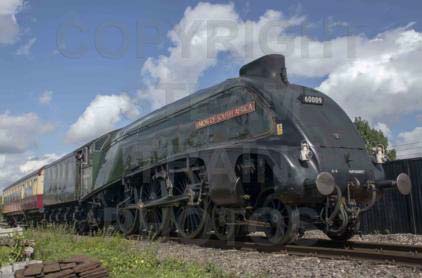 Purchase posters of 60009 UNION OF SOUTH AFRICA