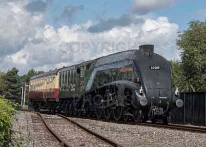Purchase photo of 60009 UNION OF SOUTH AFRICA at Didcot