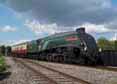 Photograph of UNION OF SOUTH AFRICA - 60009 UNION OF SOUTH AFRICA at Didcot on 31/08/17