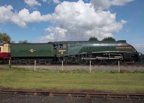 See large image