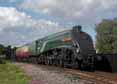 Photograph of UNION OF SOUTH AFRICA - 60009 UNION OF SOUTH AFRICA at Didcot on 31/08/17