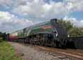 Photograph of UNION OF SOUTH AFRICA - 60009 UNION OF SOUTH AFRICA at Didcot on 31/08/17