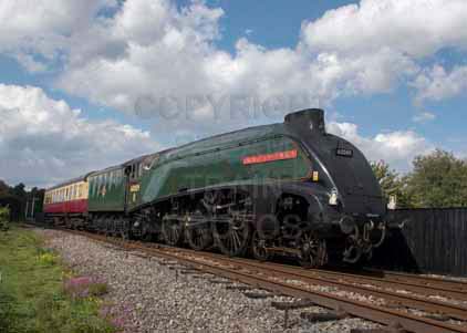Purchase photo of 60009 UNION OF SOUTH AFRICA at Didcot
