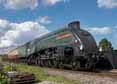 Photograph of UNION OF SOUTH AFRICA - 60009 UNION OF SOUTH AFRICA at Didcot on 31/08/17