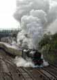 Photograph of PRINCESS ELIZABETH - 46201 PRINCESS ELIZABETH at Didcot on 19/06/10