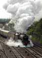 Photograph of PRINCESS ELIZABETH - 46201 PRINCESS ELIZABETH at Didcot on 19/06/10
