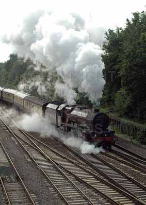 Purchase photo of 46201 PRINCESS ELIZABETH at Didcot
