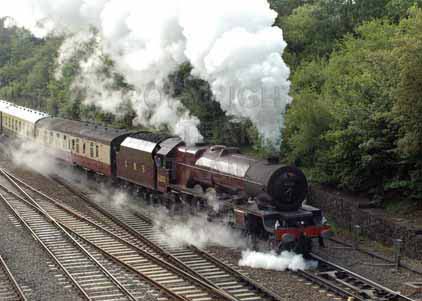 Purchase photo of 46201 PRINCESS ELIZABETH at Didcot