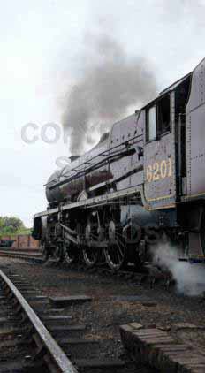 Purchase posters of 46201 PRINCESS ELIZABETH