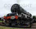 Poster ofPRINCESS ELIZABETH - 46201 PRINCESS ELIZABETH at Didcot on 29/05/10