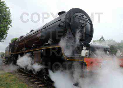 Purchase posters of 46201 PRINCESS ELIZABETH